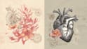 create scientific illustrations of your work
