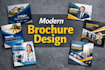 design luxury and eye catching flyer, brochure and pamphlet