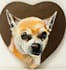 paint a custom acrylic pet portrait as a unique gift