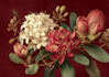draw a botanical illustration