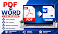 professional PDF conversion to word and excel