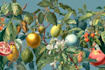 design awesome botanical plant illustration