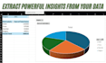 clean, analyze and organize large excel datasets professionally