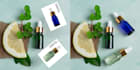 photo manipulation photo compositing harmonization