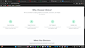 build a professional business website with basic security setup