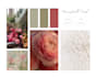 make a stylish mood board to perfection