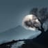 environment concept art landscape design
