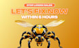 resolve wordpress errors, fix critical bugs, optimize woocommerce, elementor