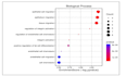 do ngs, rna seq, and metagenomics bioinformatics analysis