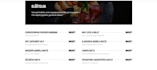 build a modern, fast and responsive wordpress website