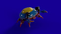 design a custom lego 3d model with instructions