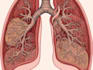 draw anatomy and medical science illustration