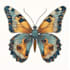 draw a scientific illustration