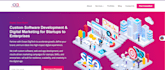 develop a professional custom web development, business website