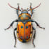 do realistic insect illustrations