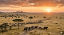 do  anything in tanzania