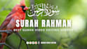 do professional quran video editing with arabic text and subtitles