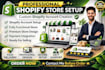 build a profitable shopify dropshipping store