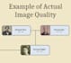 design a custom family tree poster