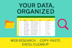 provide fast and reliable data entry services
