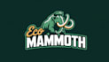 make awesome mammoth logo with express delivery