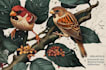 draw scientific animals encyclopedia book illustrations