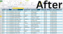 data entry, data cleaning and pdf to excel conversion
