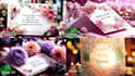make wedding invitation video in premium classic style