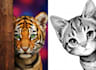 convert your normal images into sketch
