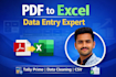 data entry, data cleaning and PDF to excel conversion