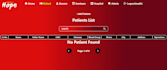 build a professional, responsive and SEO friendly website