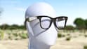 design 3d eyewear, glasses and sunglasses