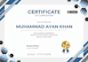 design professional award certificate with 24 hour delivery