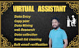 do data entry,ata input, data extraction, collection, data mining