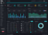 provide a professional UX audit and conversion