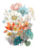 illustrate best botanical illustration