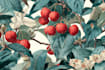 make a marvelous botanical flowers illustration