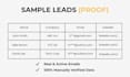 provide targeted b2b leads and linkedin leads for USA businesses