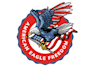 design an eagle, falcon, hawk, animal logo with high quality