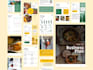develop a seed business plan and financial model