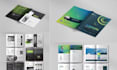 do professional annual report design, annual report layout