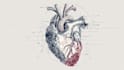 draw anatomy and medical vector illustration