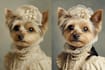 create a fairy tale disney style pet portrait