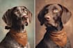 draw your pet in magical disney cartoon style