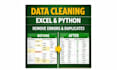 clean, analyze, and visualize your data using excel and python