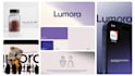 do brand style guide, custom logo design, and branding identity