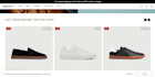 design a professional shopify store and ecommerce website that converts