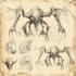 make a sketch of your monsters and creatures