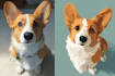 create a high quality disney pet cartoon illustration