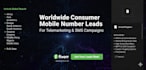 provide consumer leads sales leads database business lead